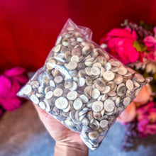Load image into Gallery viewer, BULK Shiva Eye Shells, Spiral Shells, 250 grams or 1 kilo bags for crafting, ocean beach decor
