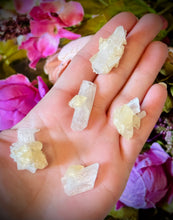Load image into Gallery viewer, Celestite with Calcite, Clay Center, USA Minerals
