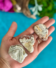 Load image into Gallery viewer, Tumbled Crazy Lace Agate from Arizona
