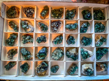 Load image into Gallery viewer, Naughty Gnome Pocket Fluorite Clusters, Diana Maria Mine, Daylight Fluorescent Fluorite
