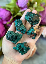 Load image into Gallery viewer, Raw Dioptase Crystal Specimens, Green Dioptase Mineral
