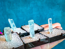 Load image into Gallery viewer, Etched Aquamarine Specimens from Watala Mine, Afghanistan
