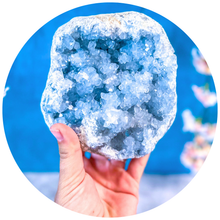Load image into Gallery viewer, Ethically Sourced Raw CELESTITE Geodes 3 - 5 1/2 lbs!
