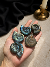 Load image into Gallery viewer, Labradorite Ammonite Carving | Spiral Crystal Decor
