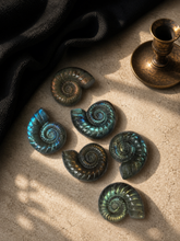 Load image into Gallery viewer, Labradorite Ammonite Carving | Spiral Crystal Decor
