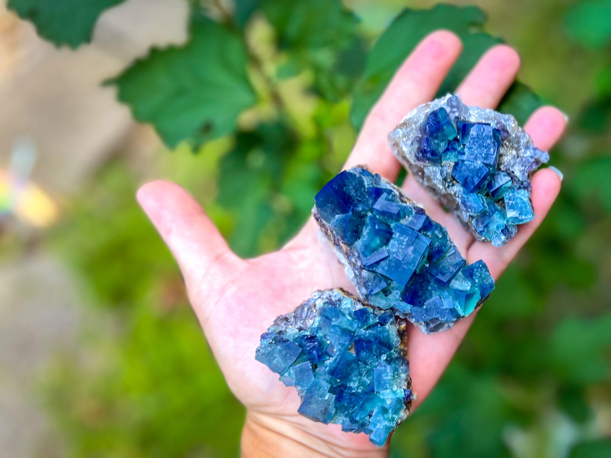 Hidden Forest Pocket Fluorite Clusters, Diana Maria Mine