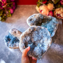 Load image into Gallery viewer, A person holding a large blue Celestite crystal cluster with more clusters in the background on a table.
