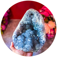 Load image into Gallery viewer, Ethically Sourced CELESTITE Clusters, 5.5 lbs - 10 lbs!
