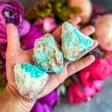Load image into Gallery viewer, Raw Aurichalcite with Hemimorphite Specimens, USA Minerals
