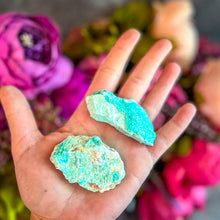 Load image into Gallery viewer, Raw Aurichalcite with Hemimorphite Specimens, USA Minerals
