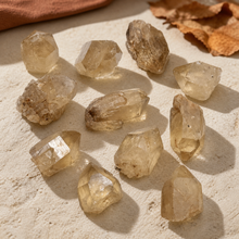 Load image into Gallery viewer, Eleven natural Katanga Congo citrine specimens arranged on pale textured stone with rust linen and autumn leaves
