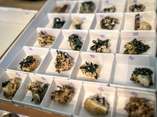 Load image into Gallery viewer, Mixed Malawi Minerals with Aegerine, Smoky Quartz, Rutile, Green Chlorite

