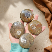 Load image into Gallery viewer, Four smaller polished Moroccan ammonite fossil stones resting in Eva's hand against pale limestone with rust linen
