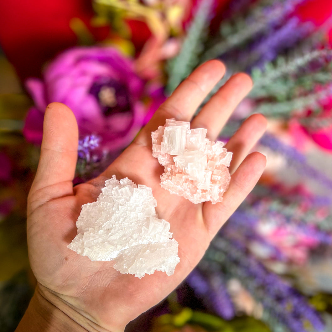 Raw Pink Halite Specimens