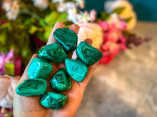 Load image into Gallery viewer, Tumbled Malachite
