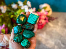 Load image into Gallery viewer, Tumbled Malachite
