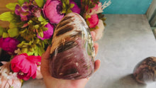 Load and play video in Gallery viewer, Petrified Wood Freeforms, 500-999 grams
