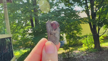 Load and play video in Gallery viewer, Glowing Red Almandine Garnets from Massachusetts, Direct from the Mine!
