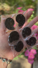 Load and play video in Gallery viewer, BULK Black Ammonite Fossil Pairs
