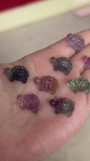 Mini fluorite turtle carvings shown from multiple angles with naturally varied color and banding
