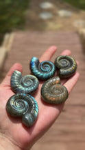 Load and play video in Gallery viewer, Labradorite Ammonite Carving | Spiral Crystal Decor
