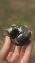 Load and play video in Gallery viewer, Single silver sheen obsidian sleepy cat carving shown close in hand
