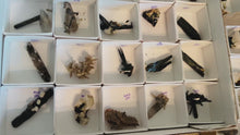 Load and play video in Gallery viewer, Mixed Malawi Minerals with Aegerine, Smoky Quartz, Rutile, Green Chlorite
