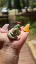 Load and play video in Gallery viewer, Mixed Crystal Witch Hat Carving | Assorted Halloween Stone
