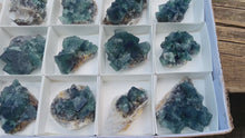 Load and play video in Gallery viewer, Hidden Forest Pocket Fluorite Clusters, Diana Maria Mine, Daylight Fluorescent Fluorite
