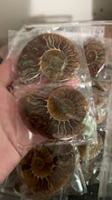 Load and play video in Gallery viewer, Small Polished Ammonite Pairs, Ethically Sourced Ammonite Halves
