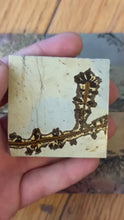 Load and play video in Gallery viewer, Picture Jasper Square | Natural Stone Shape
