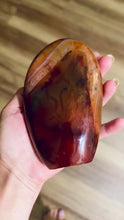 Load and play video in Gallery viewer, Polished Carnelian Freeforms, For Passion and Prosperity
