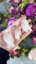 Load and play video in Gallery viewer, Scepter Quartz From India, New Find! with Pink Hematite
