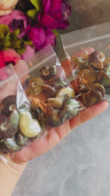 Load and play video in Gallery viewer, Small Polished Ammonite Ethically Sourced Ammonites, Bulk 50 gram Bag
