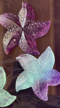 Load and play video in Gallery viewer, Fluorite Starfish Carving | 4-Inch Crystal Sea Star
