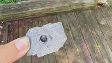 Load and play video in Gallery viewer, Glowing Red Almandine Garnets from Massachusetts, Direct from the Mine!
