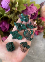Load and play video in Gallery viewer, Raw Dioptase Crystal Specimens, Green Dioptase Mineral

