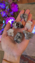 Load and play video in Gallery viewer, Mouse Ear Calcite - Fluoresces Pink, UV Fluorescent Minerals
