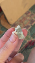 Load and play video in Gallery viewer, Etched Aquamarine Specimens from Brazil
