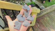 Load and play video in Gallery viewer, Glowing Red Almandine Garnets from Massachusetts, Direct from the Mine!
