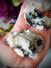 Load and play video in Gallery viewer, Large Mouse Ear Calcite from Mexico

