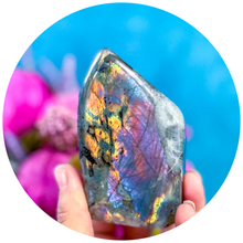 Load image into Gallery viewer, Purple Labradorite Crystal Freeform, Rainbow Labradorite, White Labradorite, Grey Labradorite
