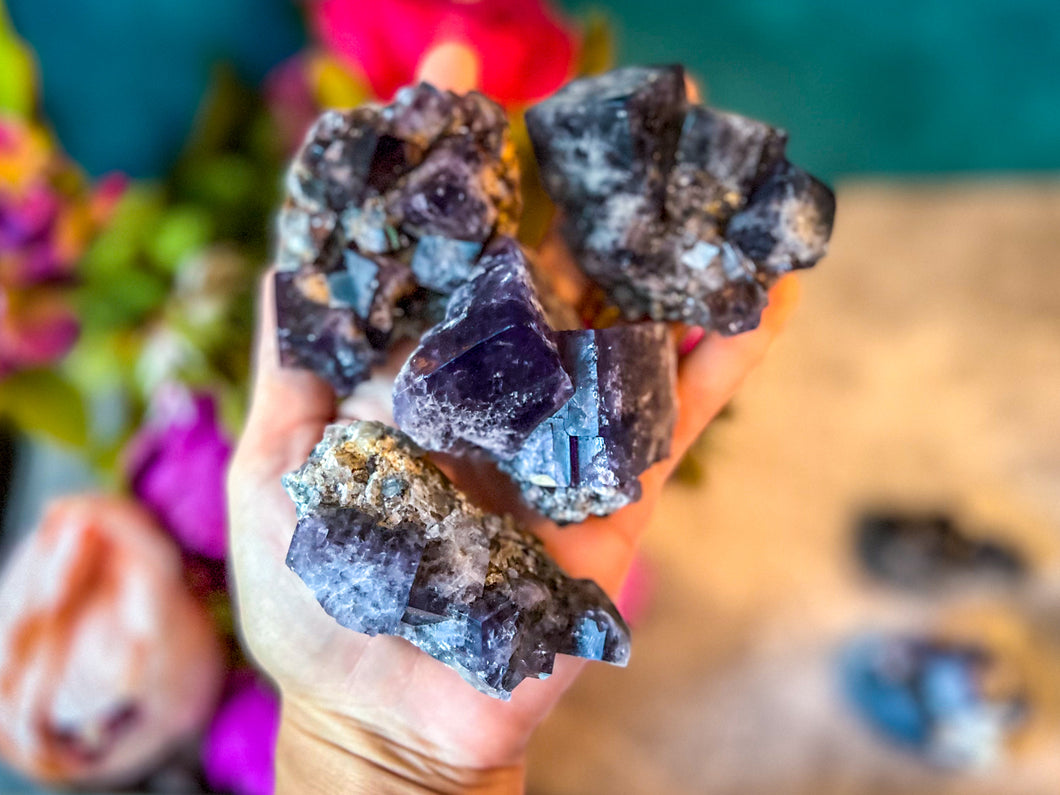 Rare Purple Rain Pocket Fluorite Clusters, Lady Annanella Mine, CLOSED Mine!, Daylight Fluorescent