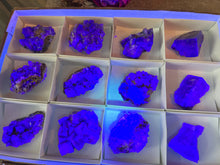 Load image into Gallery viewer, Rare Purple Rain Pocket Fluorite Clusters, Lady Annanella Mine, CLOSED Mine!, Daylight Fluorescent
