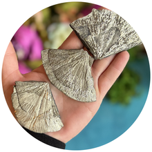 Load image into Gallery viewer, Pyrite Sun Pieces, Peruvian Pyrite Fragments
