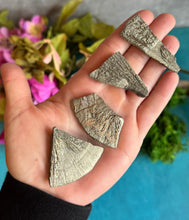 Load image into Gallery viewer, Pyrite Sun Pieces, Peruvian Pyrite Fragments
