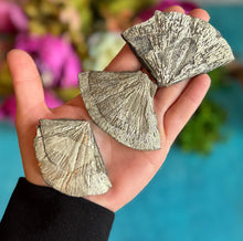 Load image into Gallery viewer, Pyrite Sun Pieces, Peruvian Pyrite Fragments
