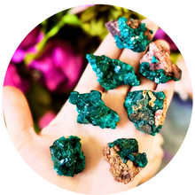 Load image into Gallery viewer, Raw Dioptase Crystal Specimens, Green Dioptase Mineral
