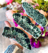 Load image into Gallery viewer, Seraphinite Slices, Serephinite Slabs
