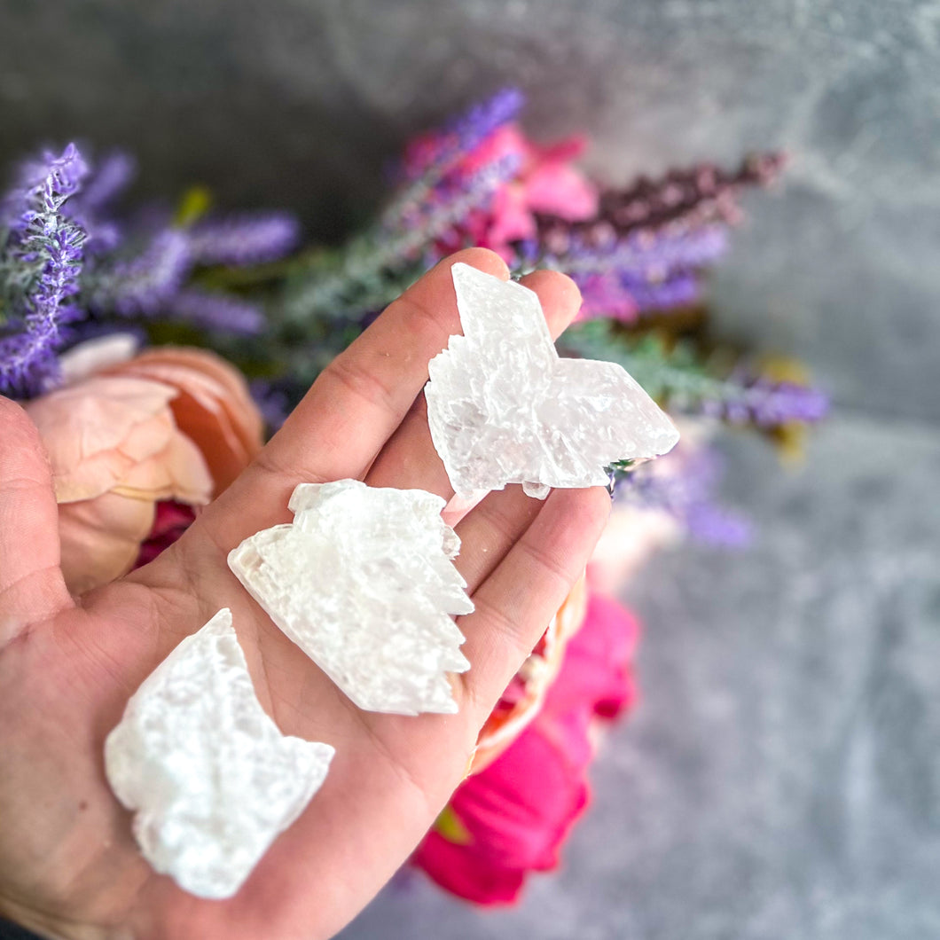 Small Fishtail Selenite Raw Specimens, Ethically Sourced Water Selenite